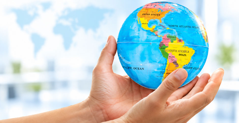Bringo Foods Global Export Logistics